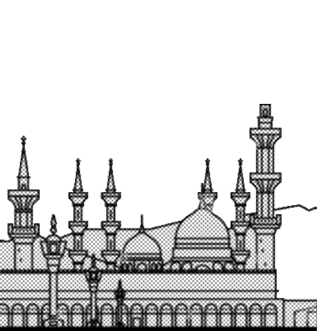 المدينة المنورة